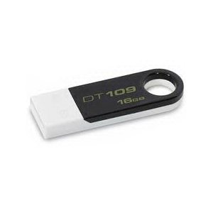 USB2.0 Flash Drive 16Gb Kingston (DT109K/16G)
