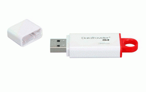 Флешка USB3.0 32Gb Kingston DTIG4/32GB