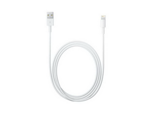  USB  Apple iPhone 5 iPad mini iPad 4 (MD819ZM/A) 2 