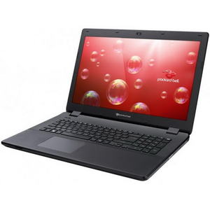  Acer Packard Bell ENLG81BA-C54C [NX.C44ER.005] black 17.3" {HD+ Cel N3050/2Gb/500Gb/WiFi/BT/W10}