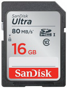   SDHC 16Gb SanDisk SDSDUNC-016G-GN6IN Class 10