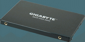 SSD  256GB Gigabyte GP-GSTFS31256GTND